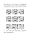 Silver Nanoparticles 1