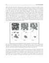 Silver Nanoparticles 1