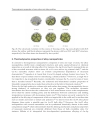 Silver Nanoparticles 1