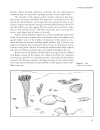 Marine Geology Exploring the New Frontiers of the Ocean 317 Pages