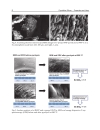 Crystalline Silicon Properties and Uses