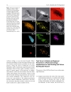 New Frontiers in Integrated Solid Earth Sciences