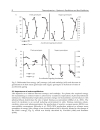 Thermodynamics Systems in Equilibrium and Non Equilibrium