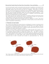 Mass Transfer in Multiphase Systems and its Applications