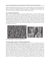 Carbon Nanotubes Polymer Nanocomposites