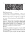 Carbon Nanotubes Polymer Nanocomposites