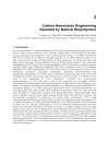 Carbon Nanotubes Polymer Nanocomposites