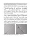 Carbon Nanotubes Polymer Nanocomposites