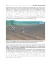 Soil Erosion Issues in Agriculture