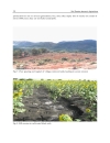 Soil Erosion Issues in Agriculture