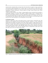 Soil Erosion Issues in Agriculture