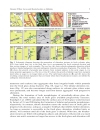 Links Between Geological Processes