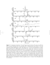 Analysis of Drug Impurities