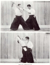 Christian Tissier Aikijo Techniques de baton