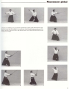 Christian Tissier Aikijo Techniques de baton