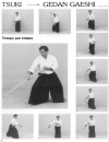 Christian Tissier Aikijo Techniques de baton