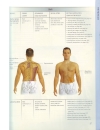 Thái Massage Manual