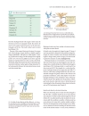 Life The Science of Biology Seventh Edition