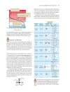 Life The Science of Biology Seventh Edition