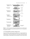 RF MEMS and Their Applications