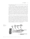 Wireless IP and Building the Mobile Internet 1