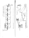 Noise Reduction Techniquesin Electrical Systems