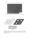 Advances in Photochemistry Volume 27