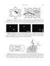 Advances in Photochemistry Volume 27