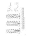 Advances in Photochemistry Volume 27