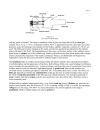 An Introduction to Analytical Atomic Spectrometry