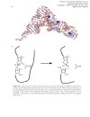 Progress in Inorganic Chemistry Vol 51