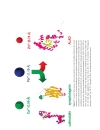 Progress in Inorganic Chemistry Vol 51