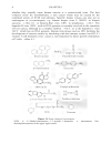 Molecular Biology of Human Cancers