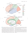 Neuroanatomy An Atlas of Structures Sections and Systems