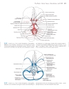 Neuroanatomy An Atlas of Structures Sections and Systems