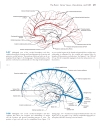 Neuroanatomy An Atlas of Structures Sections and Systems