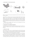 Introduction to Chemical Transport in the Environment