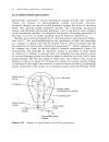 High Voltage Engineering Fundamentals Newnes