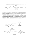 Solid Phase Organic Synthesis