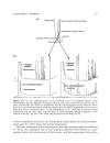 Multidimensional Chromatography