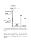 Multidimensional Chromatography