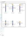 Genetics Vol 2 E I Macmillan Science Library