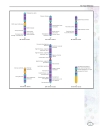 Genetics Vol 2 E I Macmillan Science Library