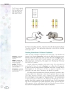 Genetics Vol 2 E I Macmillan Science Library