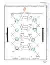 Genetics Vol 2 E I Macmillan Science Library