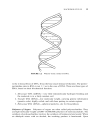 PHYSICAL CHEMISTRY OF MACROMOLECULES Basic Principles and Issues 2d Ed