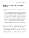 Evolutionary Developmental Biology of the Cerebral Cortex