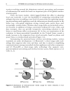 RF MEMS Circuit Design for Wireless Communications