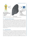 Implanted Antennas in Medical Wireless Communications