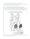 Implanted Antennas in Medical Wireless Communications